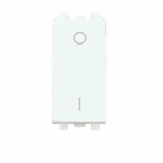 Double pole one way switch with LED lamp